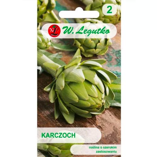 Articsóka Gros Vert de Laon Legutko termék fotó 1 Articsóka Gros Vert de Laon Legutko kép 1 termék 50130