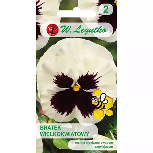 Árvácskák Silverbride Legutko kép 1 termék 86802