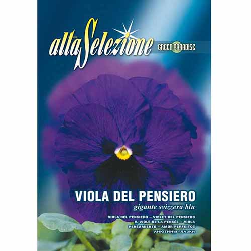 Árvácskák Swiss Giant kék kép 1 termék 96360