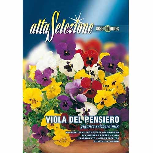 Árvácskák Swiss Giant, mix kép 1 termék 96363