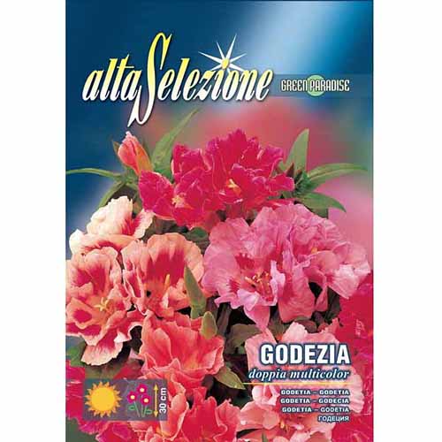 Azálea kerti duplaviraggal, mix kép 1 termék 87301