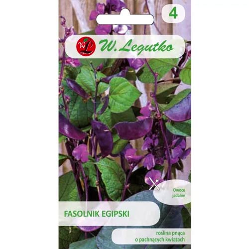 Bab egyiptomi rózsaszín-lila Legutko termék fotó 1 Bab egyiptomi rózsaszín-lila Legutko kép 1 termék 78552