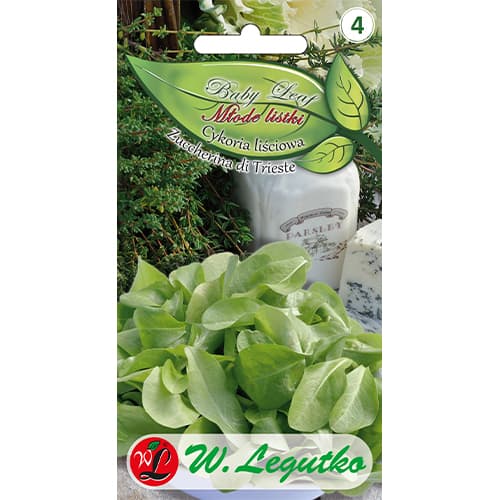 Baby Leaf - Cikória levelek Zuccherina di Trieste kép 1 termék 86705