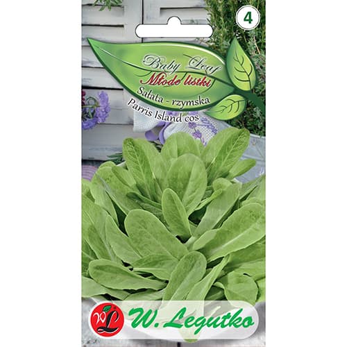 Baby Leaf - Római saláta Paris Island kép 1 termék 86714
