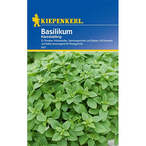 Bazsalikom egynyári kép 1 termék 77456