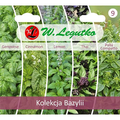 Bazsalikom gyűjtemény, 5 fajtát tartalmazó csomag kép 1 termék 96837