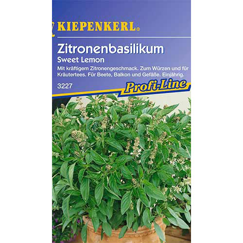 Bazsalikom Sweet Lemon kép 1 termék 86558