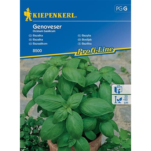 Bazsalikom széles levelű termék fotó 1 Bazsalikom széles levelű kép 1 termék 96592