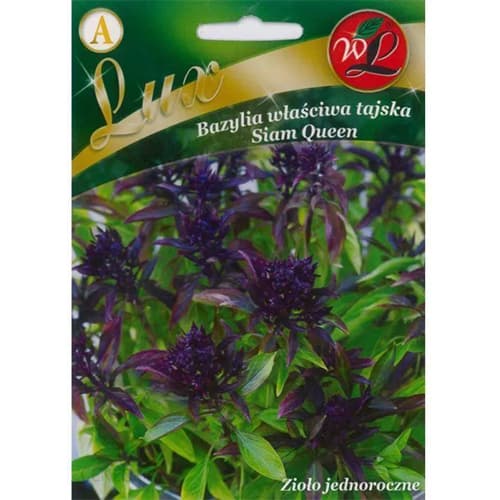 Bazsalikom Thai Siam Queen kép 1 termék 86840