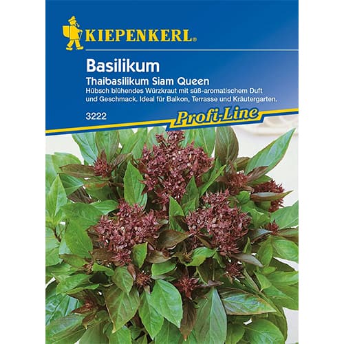 Bazsalikom Thai Siam Queen kép 1 termék 96682