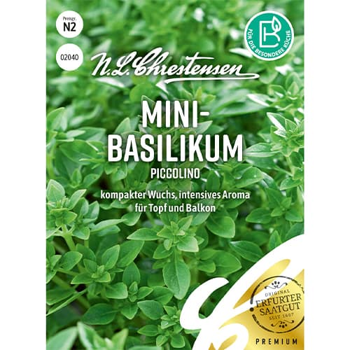 Bazsalikom törpe Piccolino termék fotó 1 Bazsalikom törpe Piccolino kép 1 termék 86011
