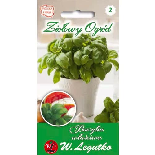 Bazsalikom zöld levelekkel Legutko kép 1 termék 50126