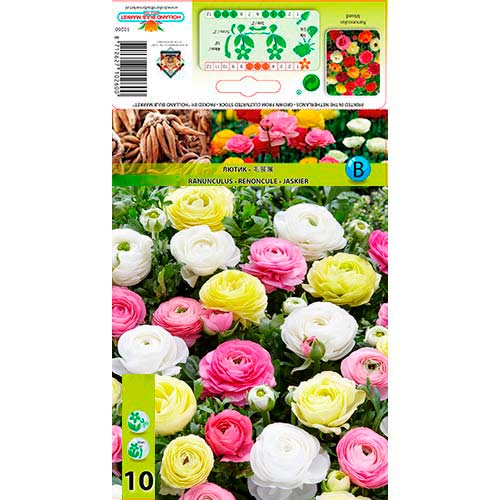 Boglárka Pastell, mix termék fotó 1 Boglárka Pastell, mix kép 1 termék 76356