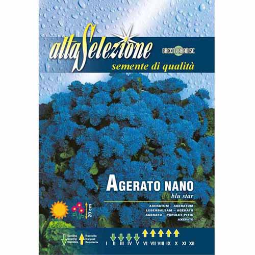 Bojtocska törpe Kék Csillag termék fotó 1 Bojtocska törpe Kék Csillag kép 1 termék 96368