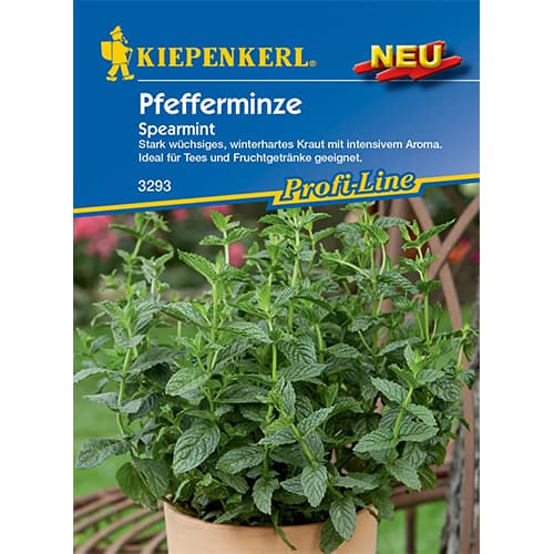 Borsmenta évelő Spearmint Kiepenkerl kép 1 termék 50019
