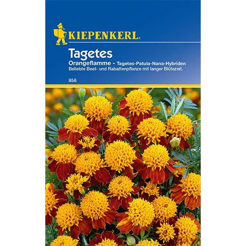 Büdöske Orange Flame kép 1 termék 86542