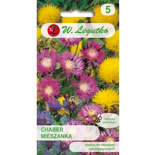 Búzavirág örökzöld, színkeverék Legutko termék fotó 1 Búzavirág örökzöld, színkeverék Legutko kép 1 termék 86804