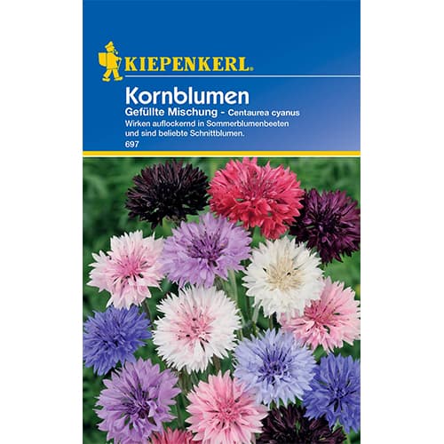 Búzavirág, színkeverék Kiepenkerl kép 1 termék 50062