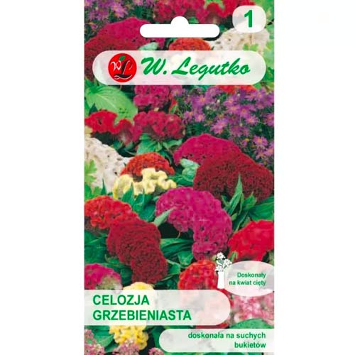 Celózia (Kakastaréj), Mix Legutko termék fotó 1 Celózia (Kakastaréj), Mix Legutko kép 1 termék 69573
