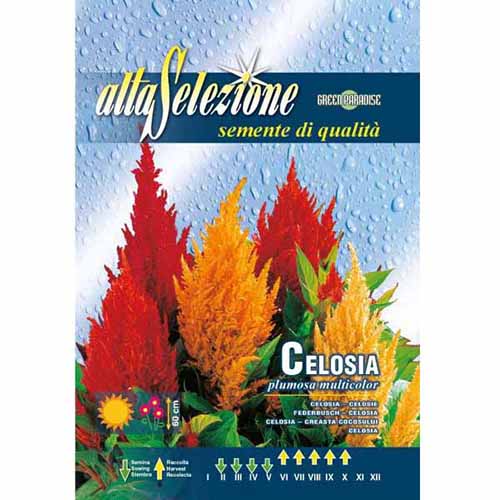 Celózia, mix termék fotó 1 Celózia, mix kép 1 termék 96332