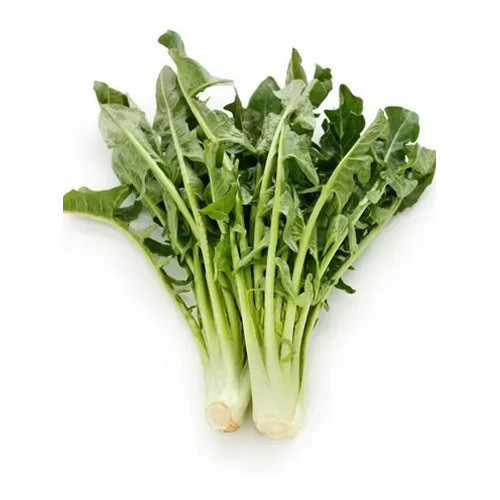 Cikória Imero kép 1 termék 96501