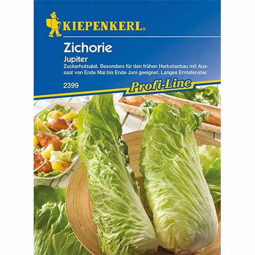 Cikória Jupiter kép 1 termék 96686