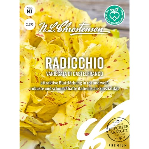 Cikória Variegata di Castelfranco kép 1 termék 86082