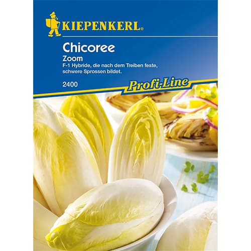 Cikória Zoom F1 kép 1 termék 86424