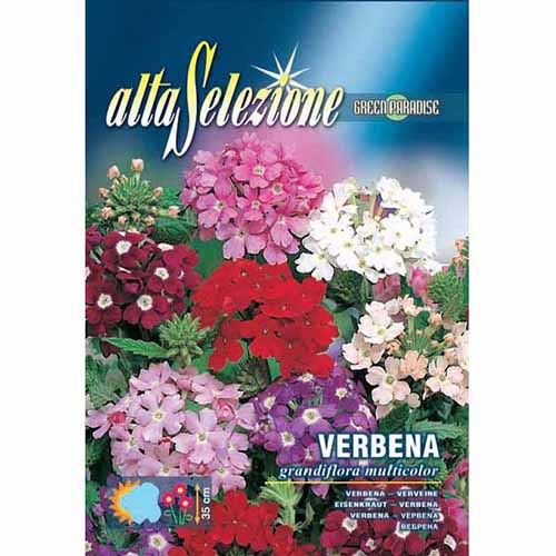 Csalán nagy virágokkal, mix termék fotó 1 Csalán nagy virágokkal, mix kép 1 termék 96370