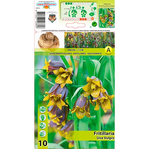 Császárkorona Uva Vulpis kép 1 termék 70245