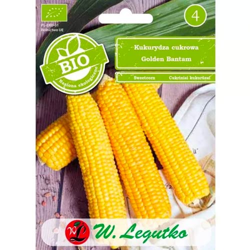 Csemegekukorica Golden Bantam Legutko kép 1 termék 50131