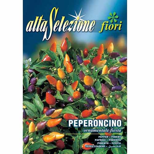 Csípős dísz paprika Fiesta termék fotó 1 Csípős dísz paprika Fiesta kép 1 termék 96321