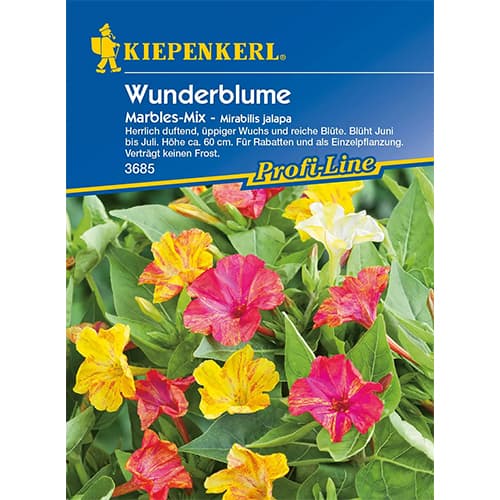 Csodatölcsér (Mirabilis) Marbles, színkeverék kép 1 termék 87762