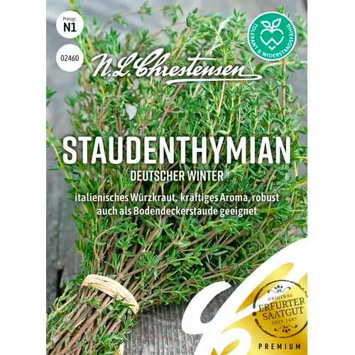 Csombor évelő Deutscher Winter Chrestensen kép 1 termék 50056