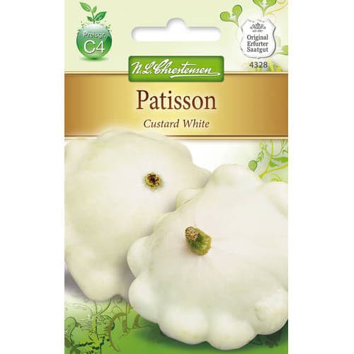 Tök Custard White termék fotó 1 Tök Custard White kép 1 termék 78812