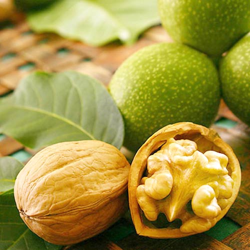 Dió Chandler, С2 termék fotó 1 Dió Chandler, С2 kép 1 termék 7041