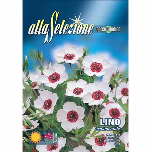 Disz Len kép 1 termék 96347