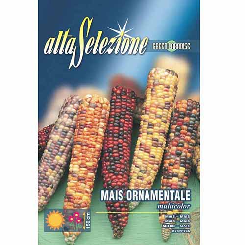 Dísz kukorica, mix kép 1 termék 96367