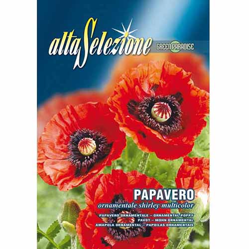 Dísz mák piros termék fotó 1 Dísz mák piros kép 1 termék 96352