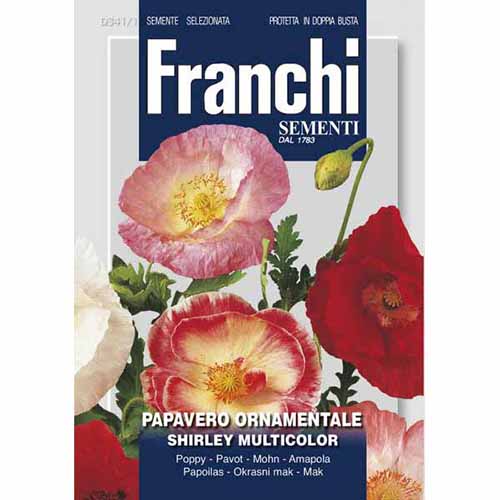 Dísz mák Shirley, mix kép 1 termék 87125