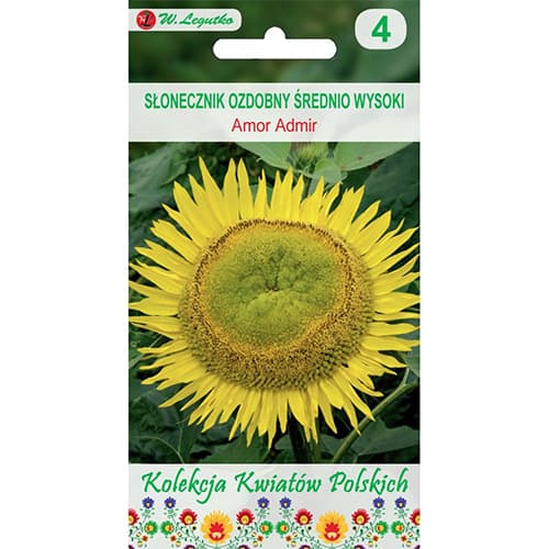Dísz napraforgó Amor Admir kép 1 termék 86732
