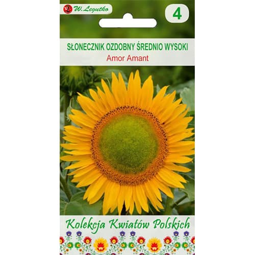 Dísz napraforgó Amor Amant kép 1 termék 86736