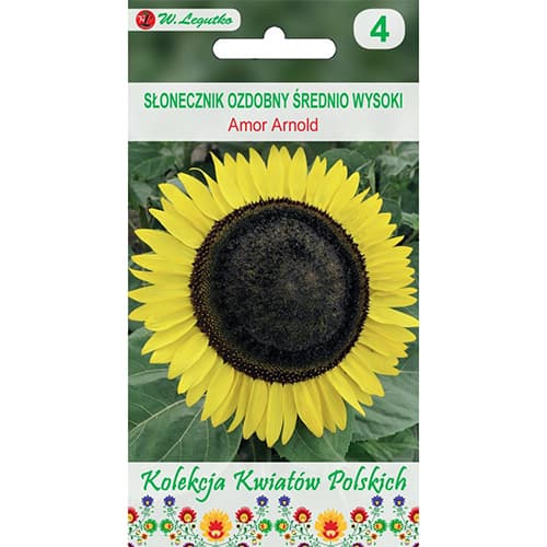 Dísz napraforgó Amor Arnold kép 1 termék 86731