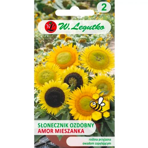 Dísz napraforgó Amor Legutko kép 1 termék 78586