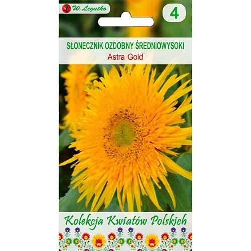 Dísz napraforgó Astra Gold kép 1 termék 96747