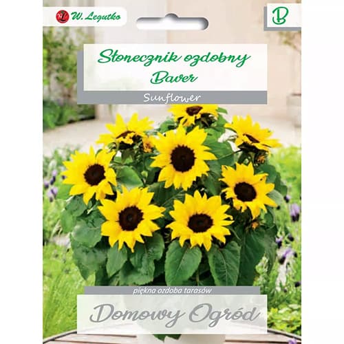 Dísz napraforgó Baver kép 1 termék 69662