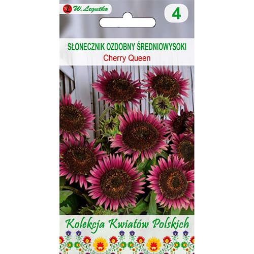 Dísz napraforgó Cherry Queen kép 1 termék 96749
