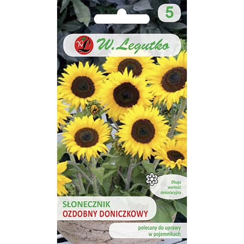 Dísz napraforgó Polino Cola kép 1 termék 69627