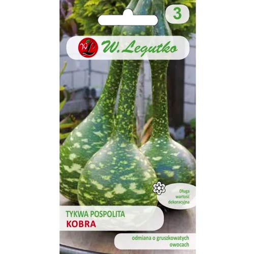 Díszcukkini Cobra Legutko kép 1 termék 69637