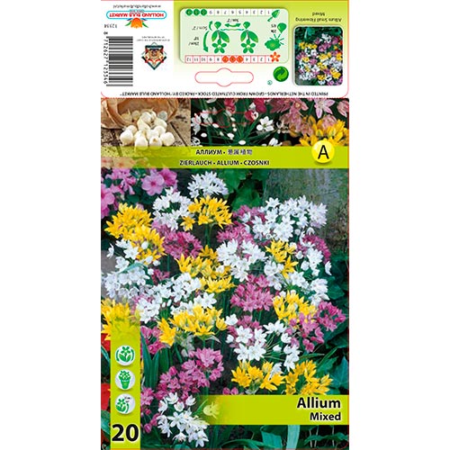 Díszhagyma, mix kép 1 termék 67298